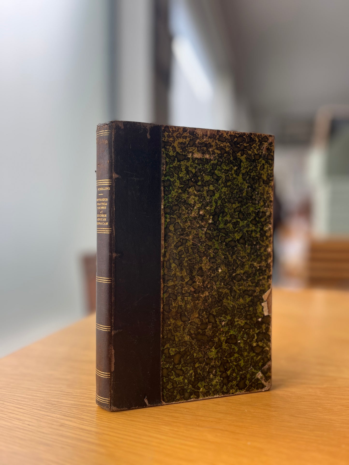 METHODUS PRACTICA DISCENDI AC DOCENDI LINGUAM HEBRAICAM