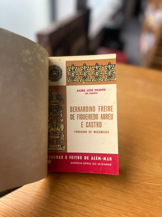 BERNARDINO FREIRE DE FIGUEIREDO ABREU E CASTRO