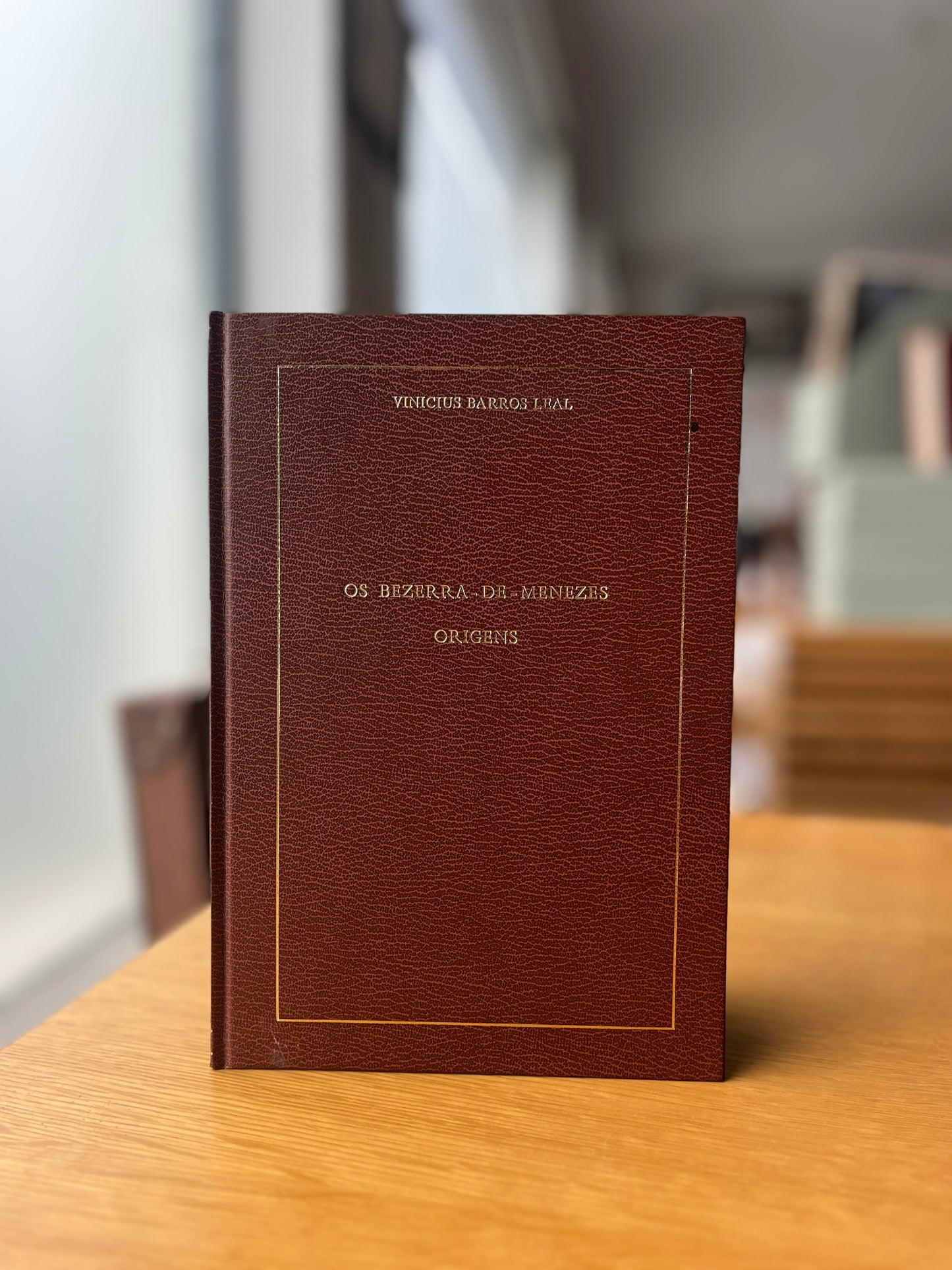 OS BEZERRA-DE-MENEZES: ORIGENS