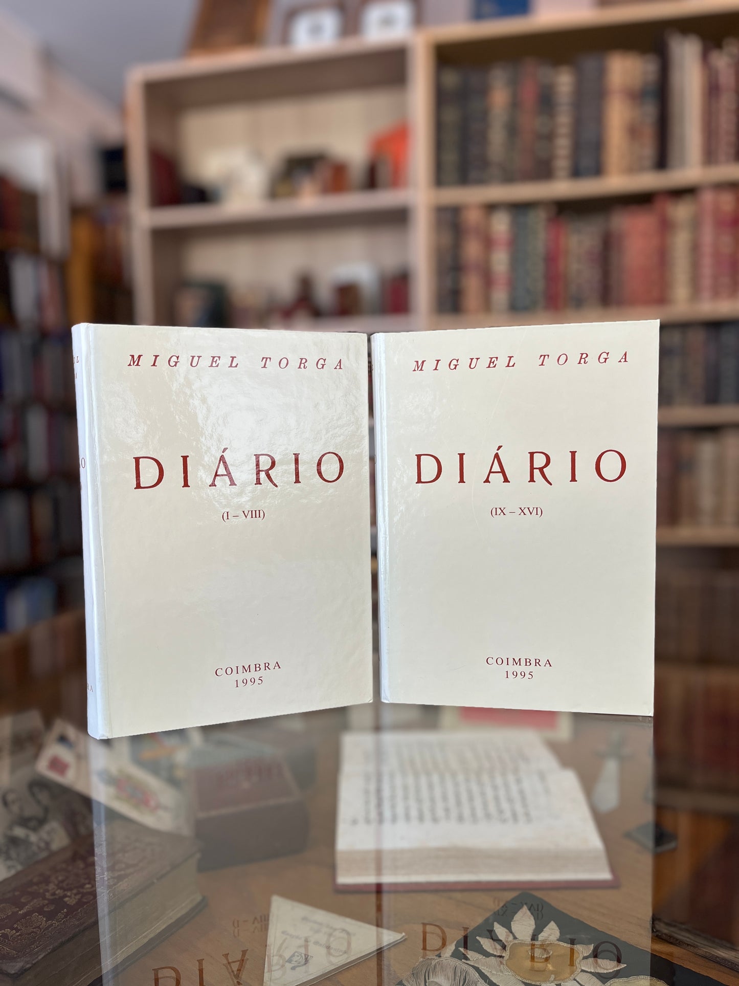 DIÁRIO (I-VIII) (IX-XVI)