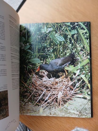 À DESCOBERTA DAS AVES DE PORTUGAL